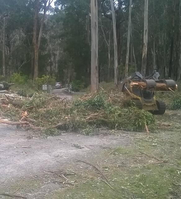 A tree on the ground being cut up